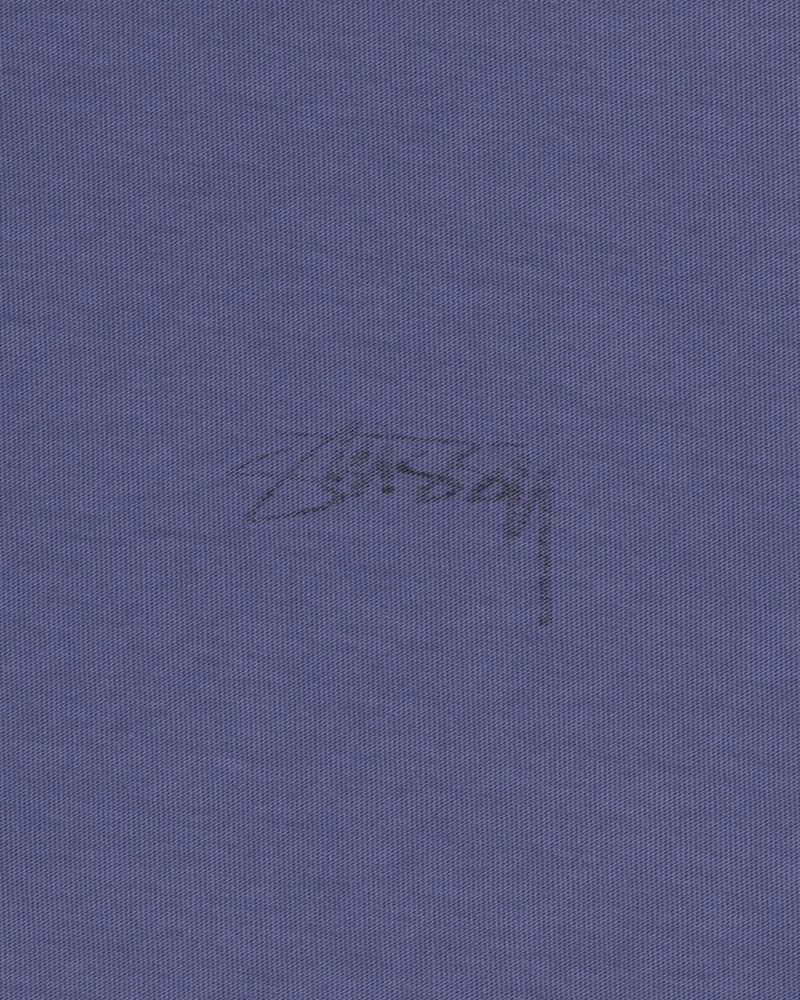 Stussy Lazy LS Tee - Unisex Longsleeve Azules Oscuro | MXDFL49223