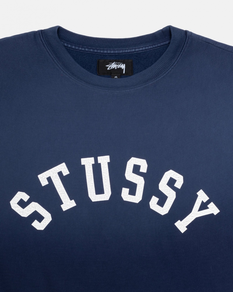 Stussy Sun Faded Oversized Crew - Unisex Hoodies Azul Marino | MXQCS30220